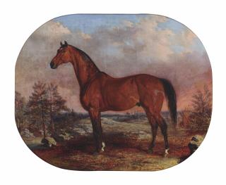 Edward Troye - Horse in a landscape