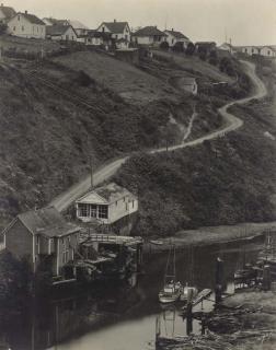 Edward Weston - Albion, California, 1937