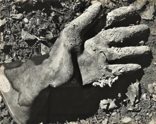 Edward Weston - \'Cement Worker\'S Glove\'