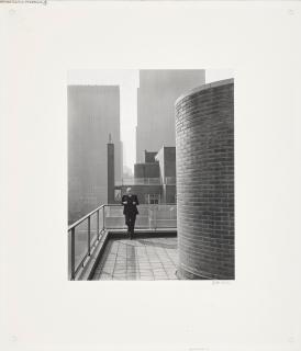 Edward Weston - David McAlpin, The Museum of Modern Art, New York