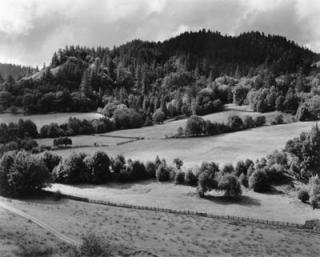 Edward Weston - Eel River Ranch
