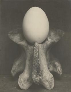 Edward Weston - \'Egg And Bone\'