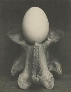 Edward Weston - \'Egg And Bone\'