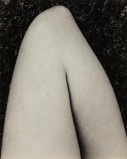 Edward Weston - Elbow