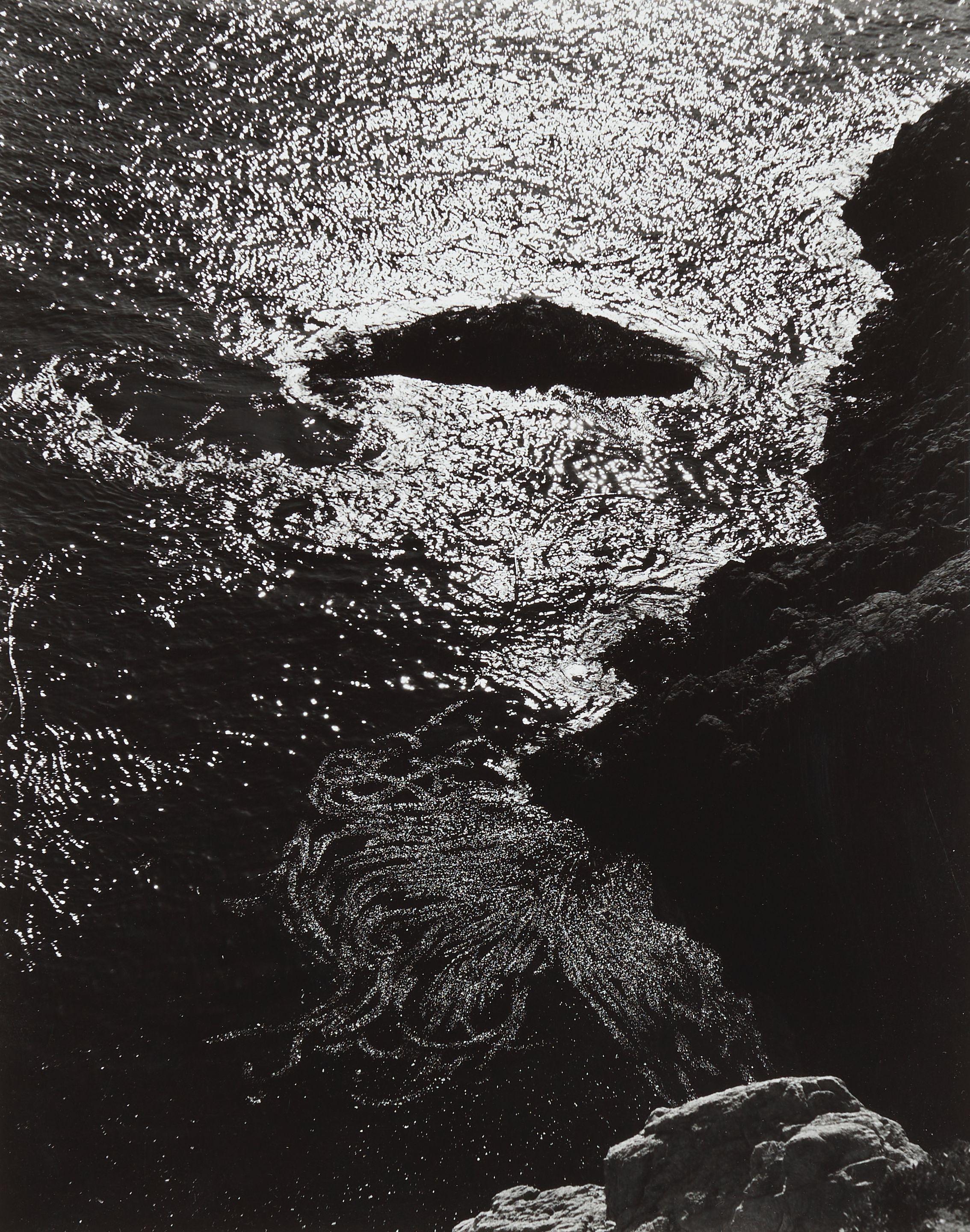 Edward Weston - Kelp, China Cove, Point Lobos