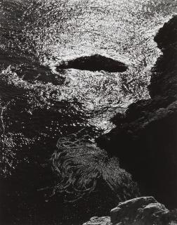 Edward Weston - Kelp, China Cove, Point Lobos