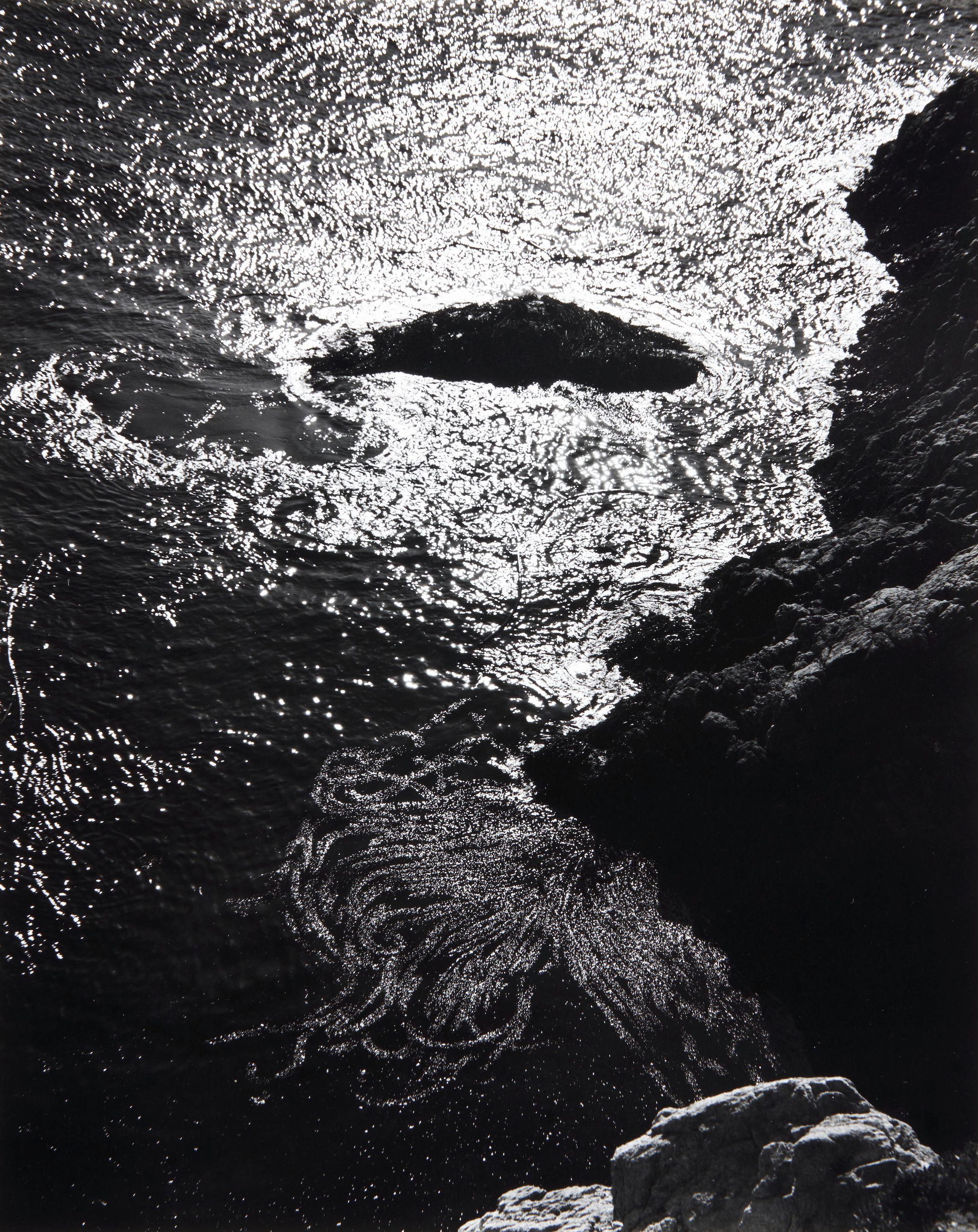 Edward Weston - Kelp, China Cove, Point Lobos