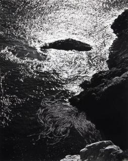 Edward Weston - Kelp, China Cove, Point Lobos