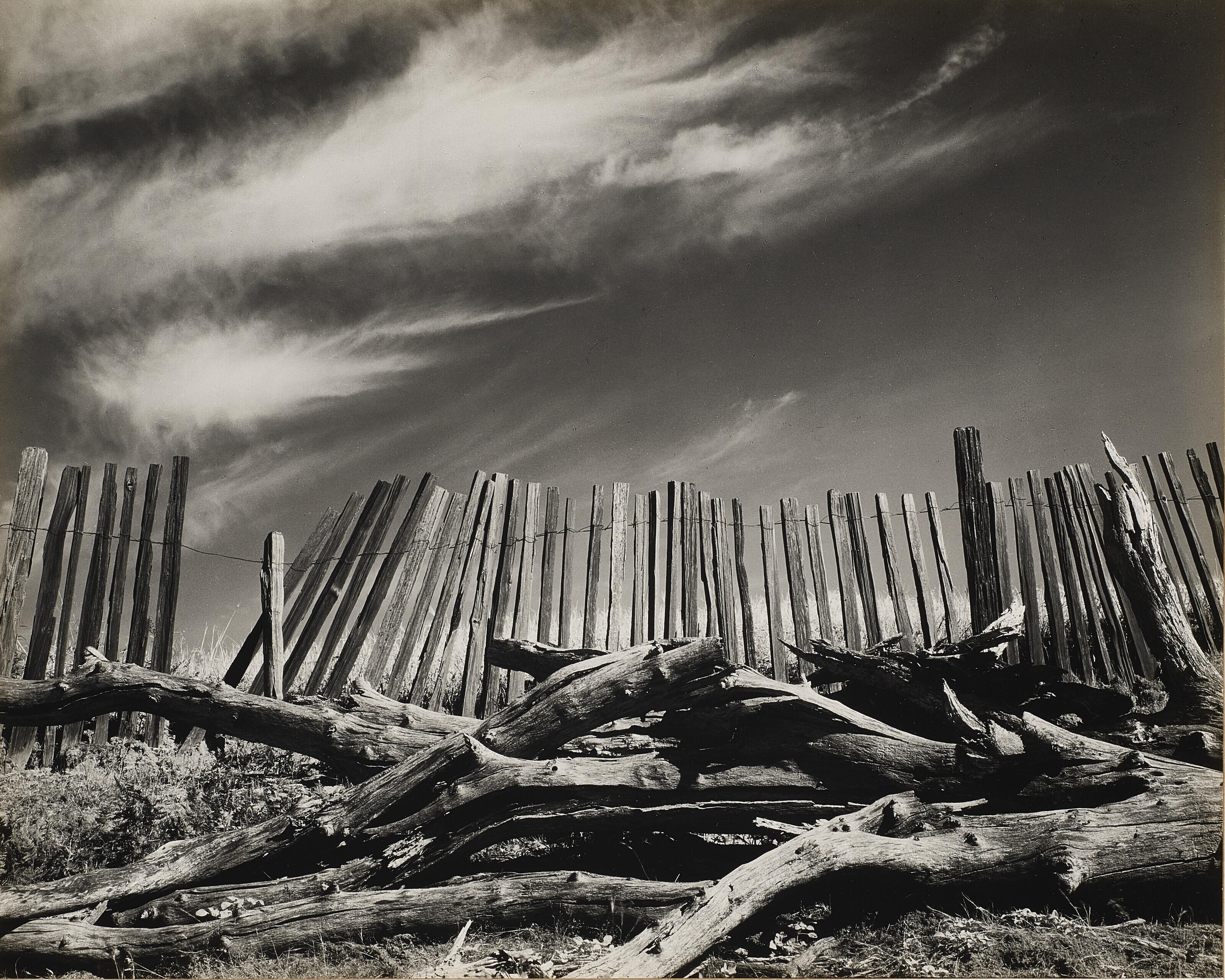 Edward Weston - Las Lomas Rancho, 1937