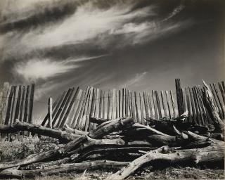 Edward Weston - Las Lomas Rancho, 1937