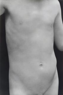 Edward Weston - Nude, 1925