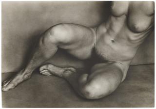 Edward Weston - Nude, 1927