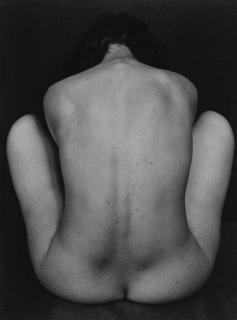 Edward Weston - Nude