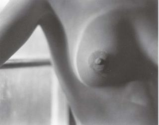 Edward Weston - Nude