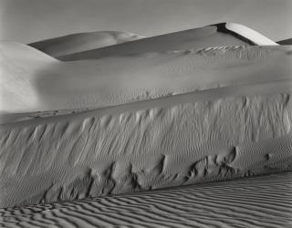 Edward Weston - Oceano