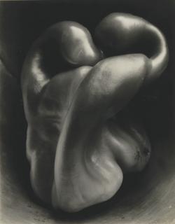 Edward Weston - Pepper, 1930