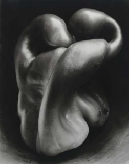 Edward Weston - Pepper, 1930