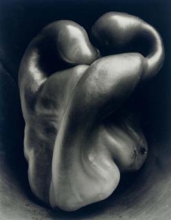 Edward Weston - Pepper #30, 1930