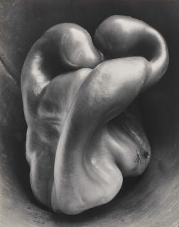Edward Weston - Pepper No. 30, 1930