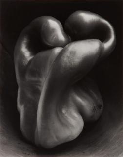 Edward Weston - Pepper (No. 30)