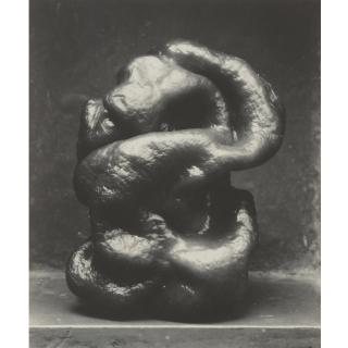 Edward Weston - Pepper