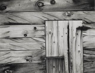 Edward Weston - Potato Cellar, Lake Tahoe, 1937
