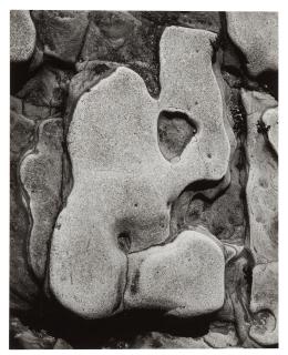 Edward Weston - Rock Erosion, Point Lobos, 1935
