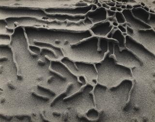 Edward Weston - Sandstone Erosion, Point Lobos, 1942