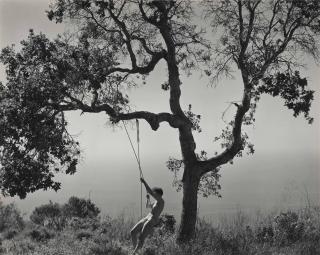 Edward Weston - Winter Idyll, 1945