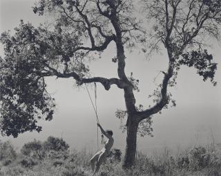 Edward Weston - Winter Idyll, 1945
