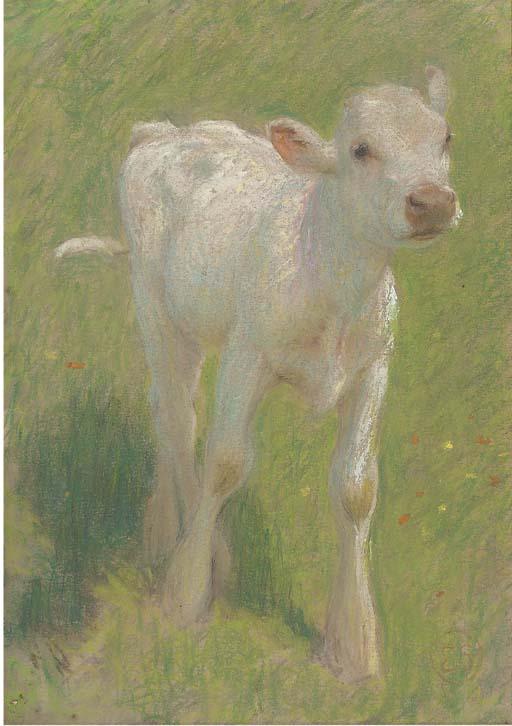 Edward William Stott A.R.A. - Study of a calf in a summer meadow