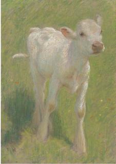 Edward William Stott A.R.A. - Study of a calf in a summer meadow