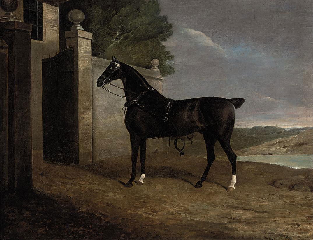 Edwin Cooper - A carriage horse at the stable gates