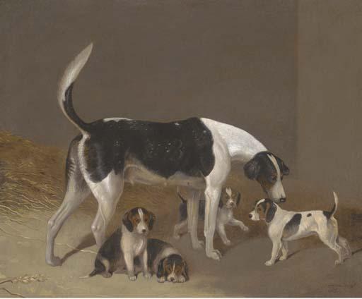 Edwin Cooper - A foxhound and her litter