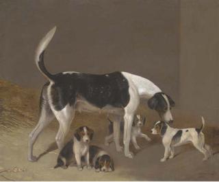 Edwin Cooper - A foxhound and her litter