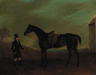 Edwin Cooper - A side-saddled bay hunter with a groom in a landscape