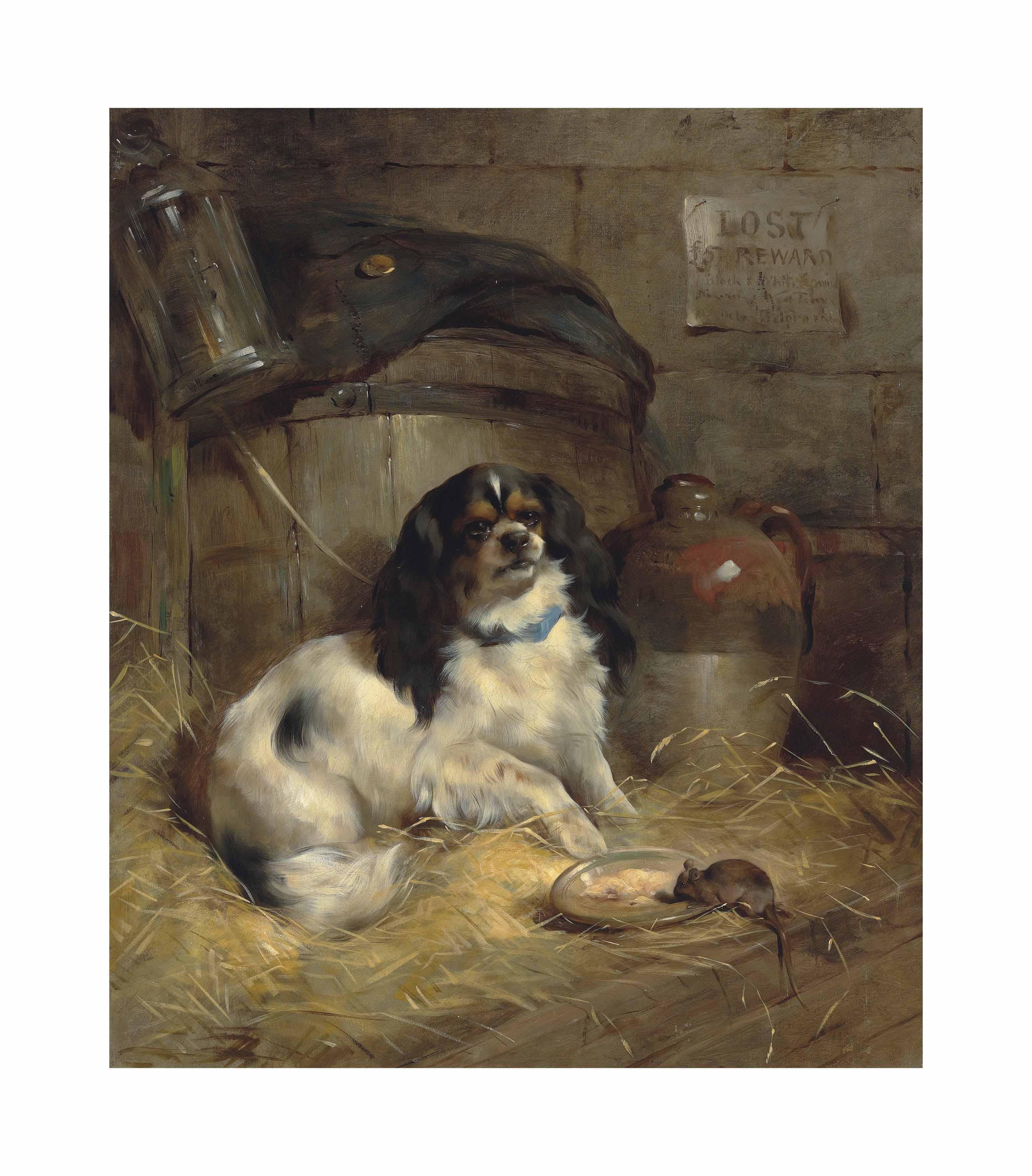 Edwin Douglas - A Cavalier King Charles spaniel