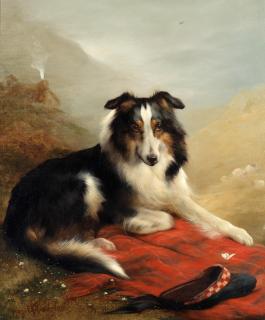 Edwin Douglas - A collie, guardian of the flock