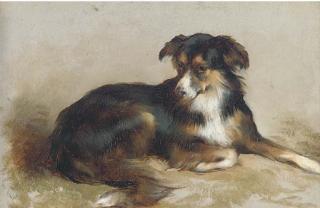 Edwin Douglas - A Collie