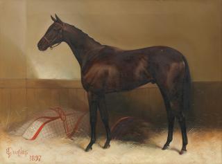 Edwin Douglas - Persimmon - the 1896 Derby Winner