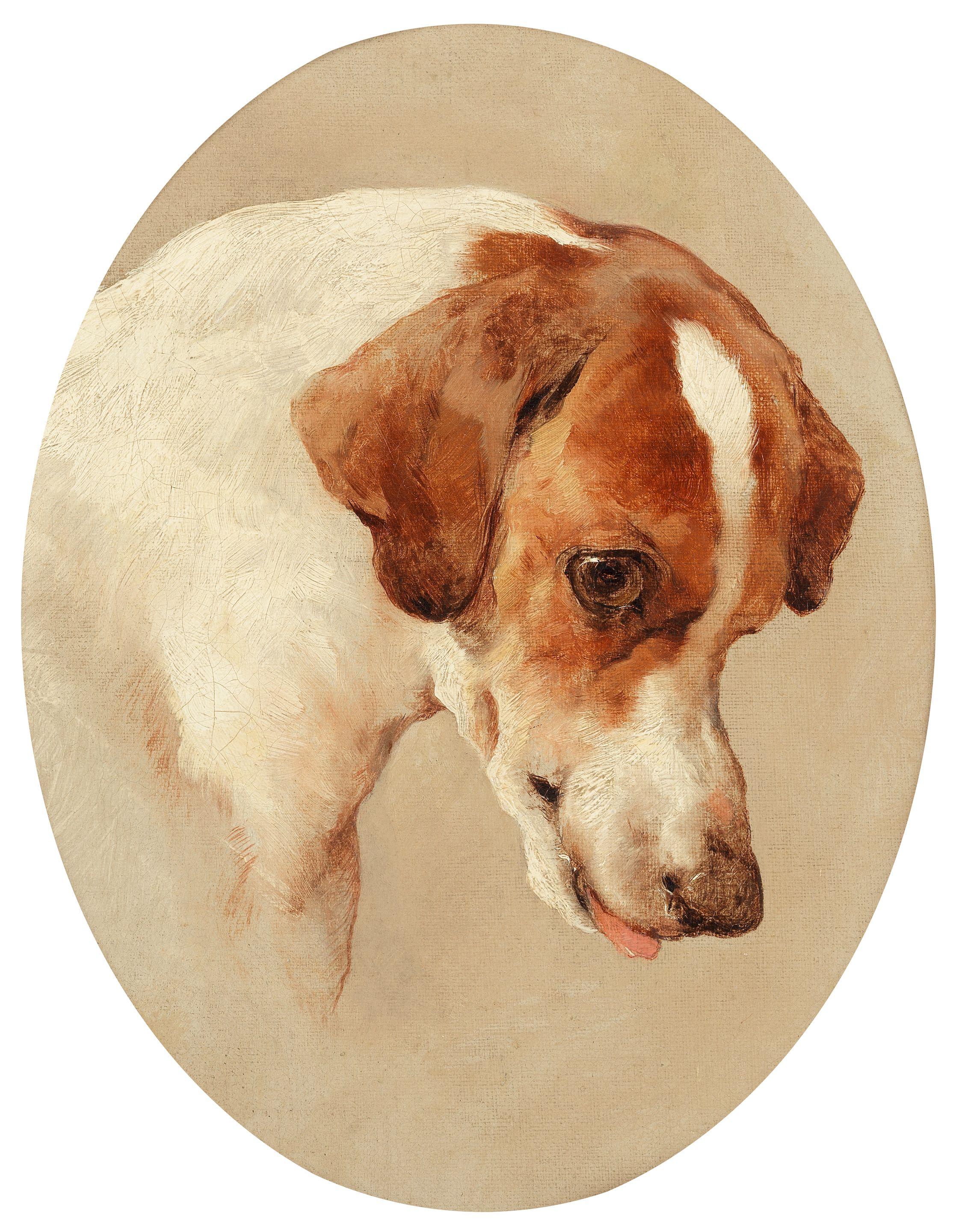 Edwin Douglas - Study of the head of a hound
