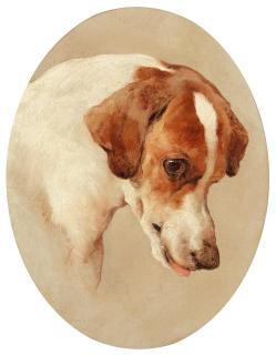 Edwin Douglas - Study of the head of a hound