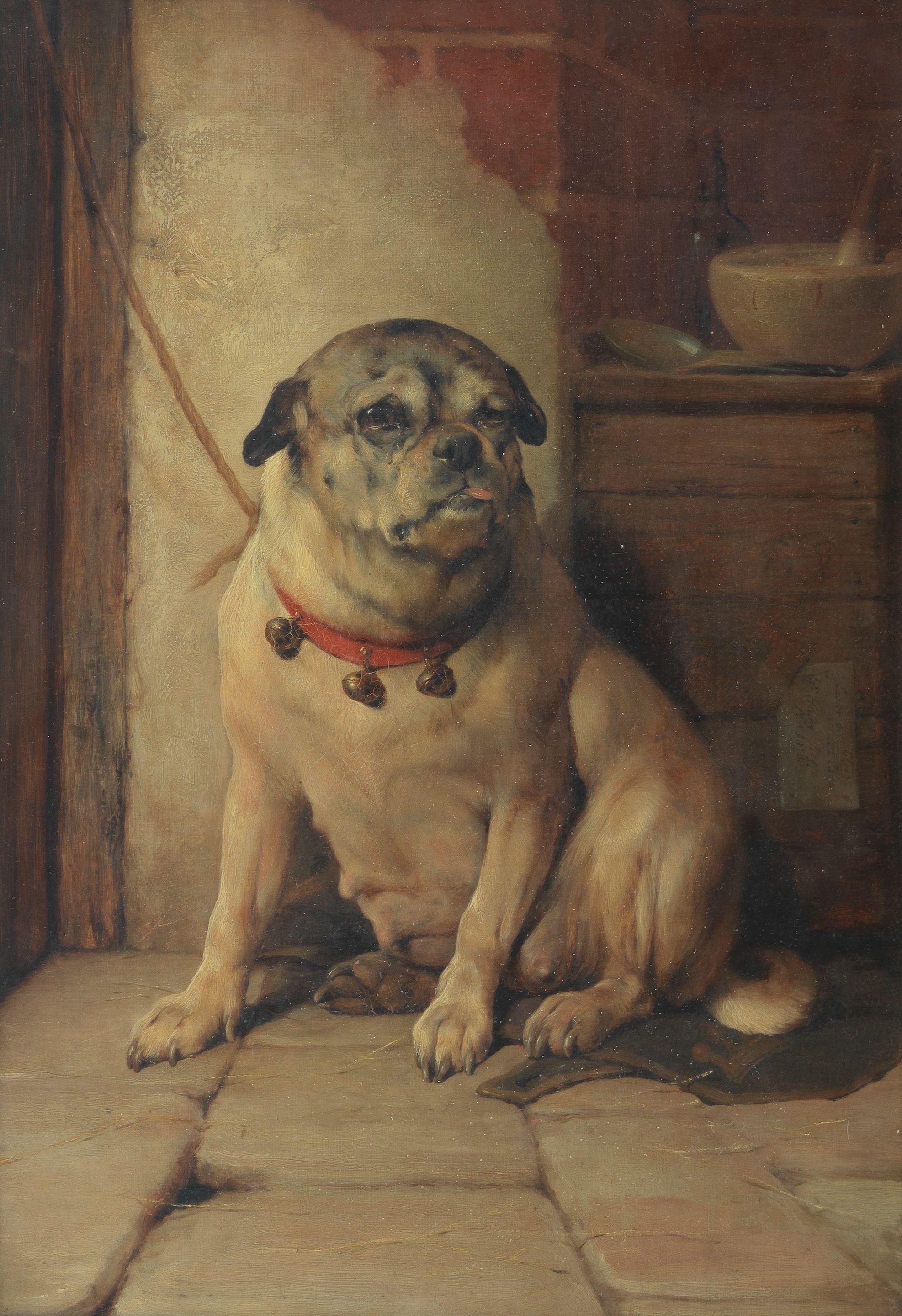Edwin Douglas - The patient - a Pug by a veterinary station