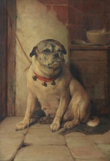 Edwin Douglas - The patient - a Pug by a veterinary station