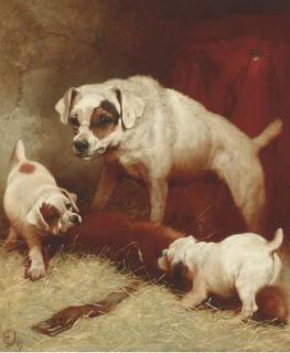 Edwin Douglas - Train Up A Child In The Way He Should Go