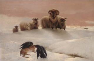 Edwin Douglas - Winter