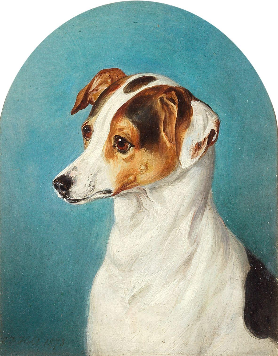 Edwin Frederick Holt - A brown and white Jack Russell