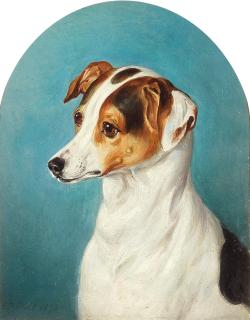 Edwin Frederick Holt - A brown and white Jack Russell