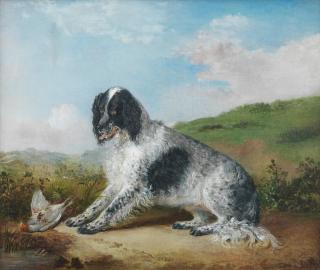 Edwin Frederick Holt - A Setter with a partridge