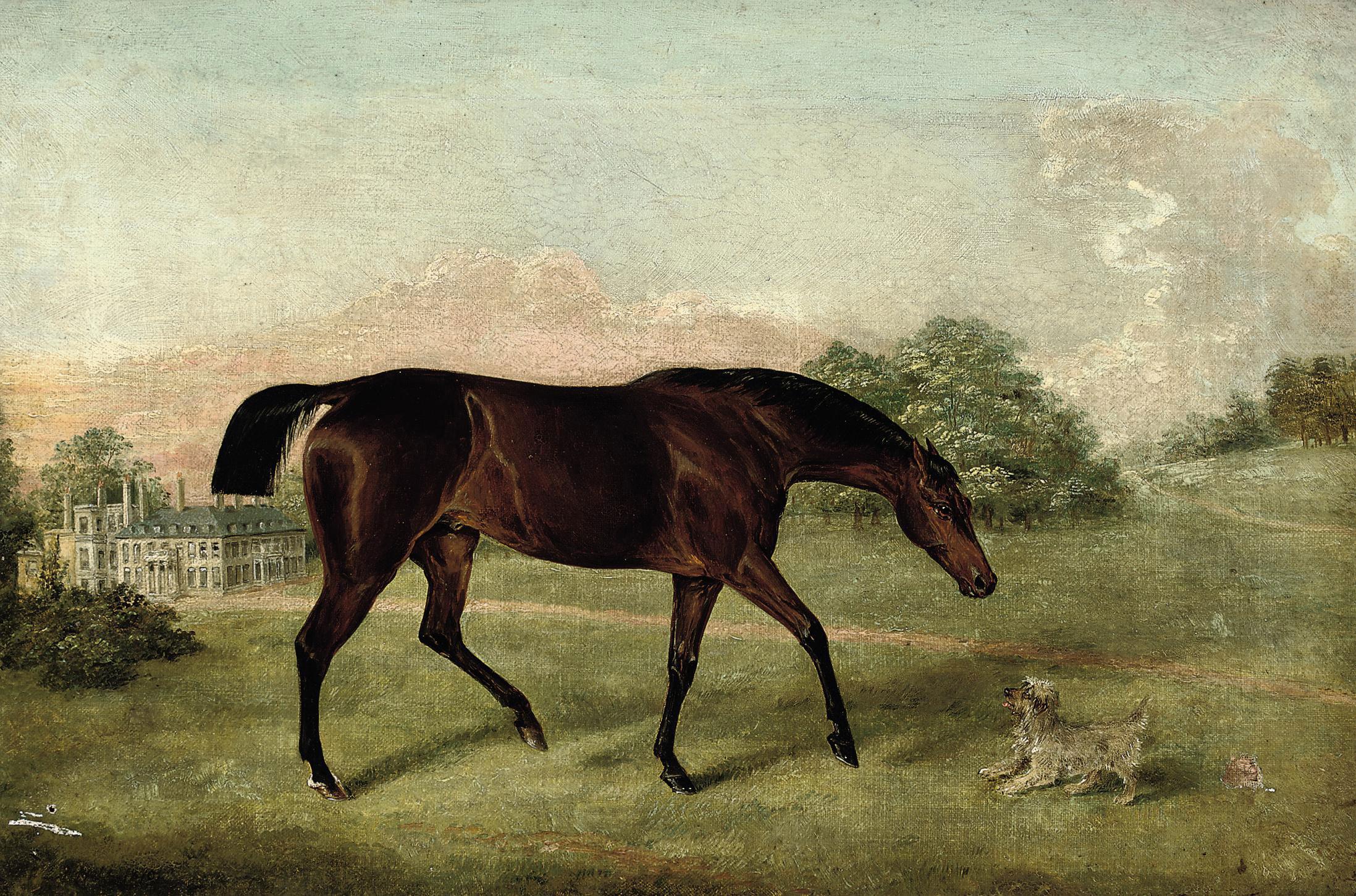 Edwin Frederick Holt - Chicken Hazard, winner of the Bath & West of England Show